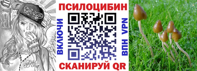 Псилоцибиновые грибы ЛСД  Купить где  Вяземский 