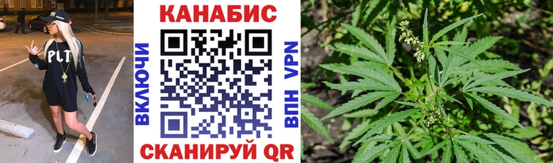 Купить закладки  Вяземский  Марихуана White Widow 